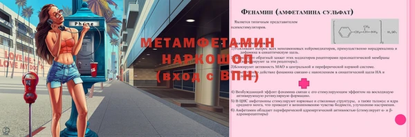 крисы Бородино