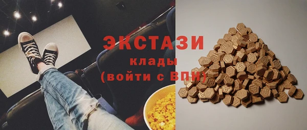 крисы Бородино