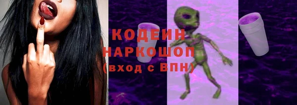 крисы Бородино
