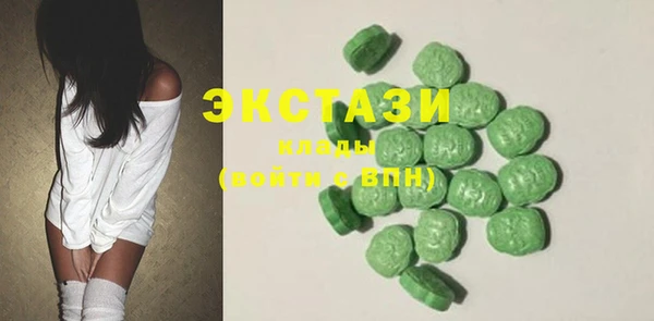 крисы Бородино