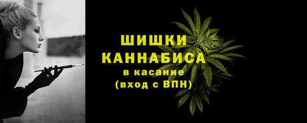 крисы Бородино