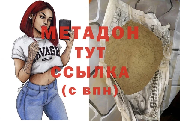 крисы Бородино