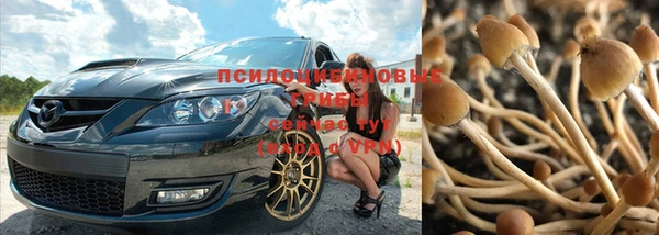 герыч Бронницы