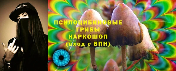 герыч Бронницы