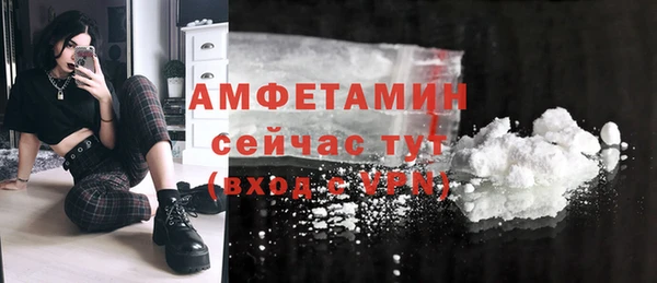 крисы Бородино